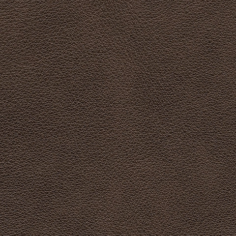 Crossplex Living Room