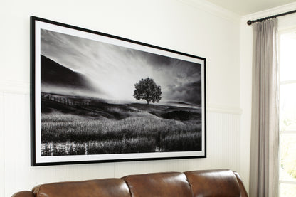 Haines Furniture Outlet - Ashley Furniture - Deborland Wall Decor - Wall Art / Black/White - A8000341