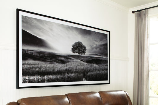 Haines Furniture Outlet - Ashley Furniture - Deborland Wall Decor - Wall Art / Black/White - A8000341