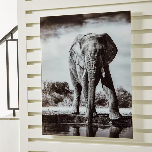 Haines Furniture Outlet - Ashley Furniture - Glinyard Wall Decor - Wall Art / Black/White - A8000421