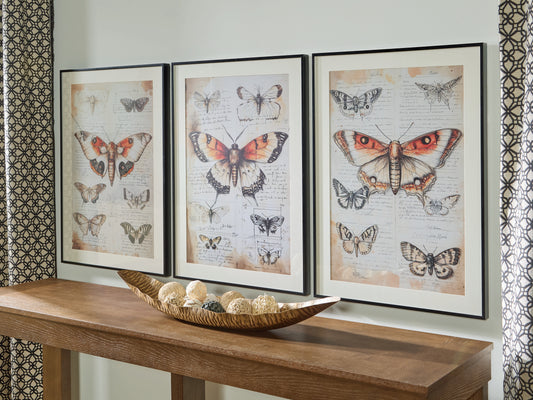 Haines Furniture Outlet - Ashley Furniture - Jossletts Wall Decor - Wall Art Set (3/CN) / Orange/Black/Ivory - A8000490