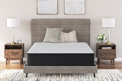 Haines Furniture Outlet - Ashley Furniture - Palisades Plush Mattresses - Queen / Gray/Blue - M41631