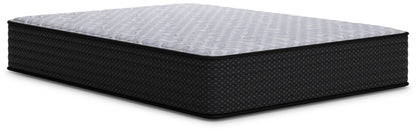 Anniversary Edition Plush Mattresses