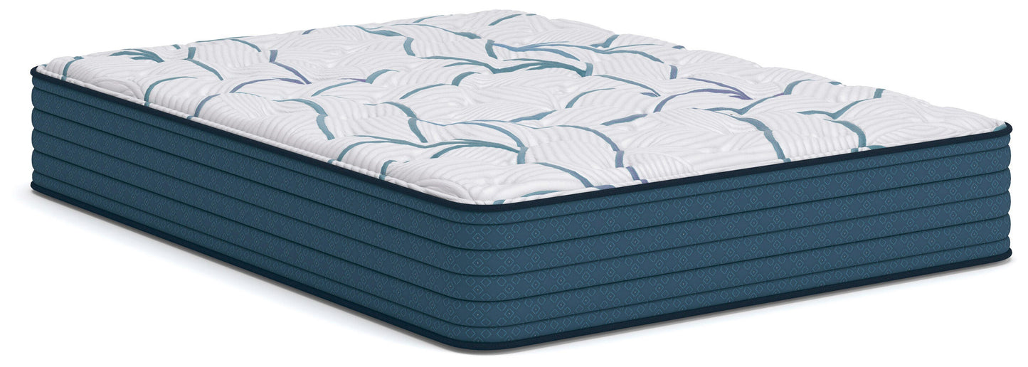 Haines Furniture Outlet - Ashley Furniture - Limited Edition Plush 3.0 Mattresses - Queen - M45131