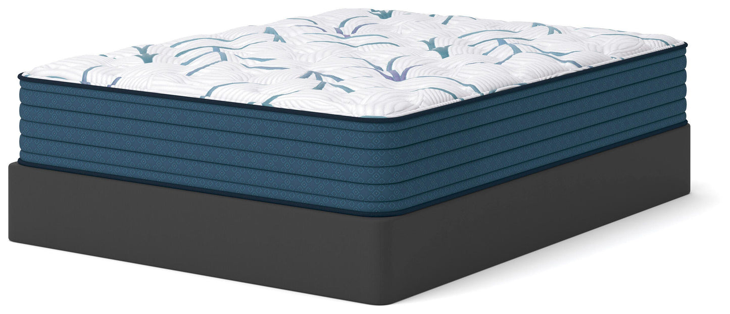 Limited Edition Plush 3.0 Mattresses