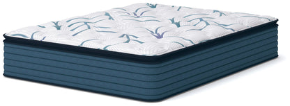 Limited Edition Plush PT 3.0 Mattresses