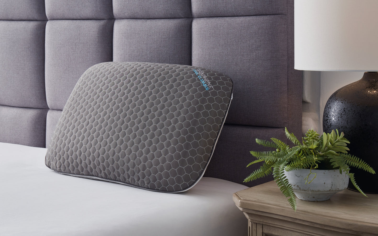 Haines Furniture Outlet - Ashley Furniture - Zephyr 2.0 Pillows - Graphene Contour Pillow (6/CS) / Dark Gray - M52113