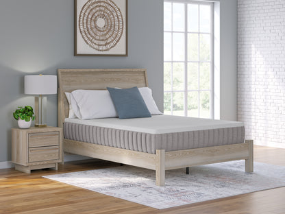 Haines Furniture Outlet - Ashley Furniture - Terra Sleep Firm Mattresses - California King / White - M52251