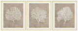 Wall Art Set (3/CN)