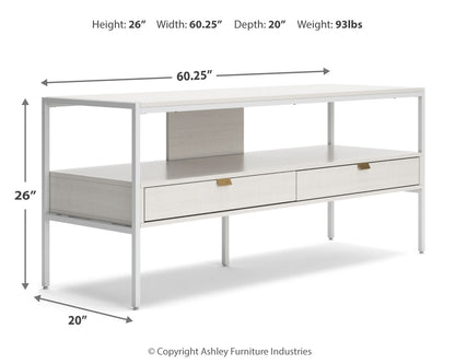 Deznee 60" TV Stand